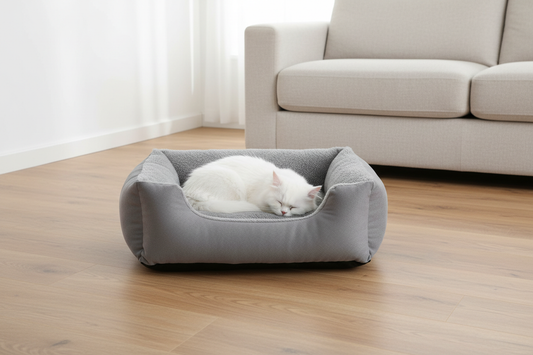 Cinzento lifestyle 1