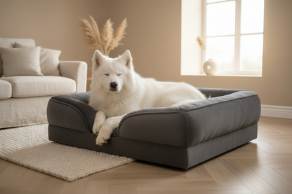 Cama antracite - Samoyed