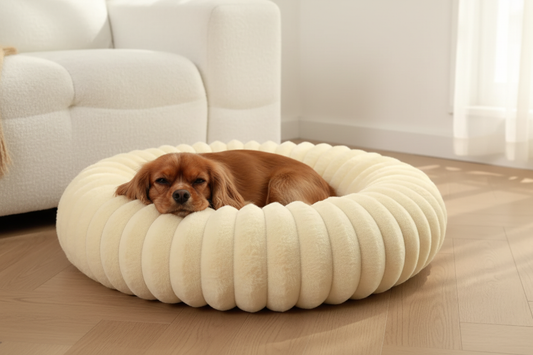 Cama Creme